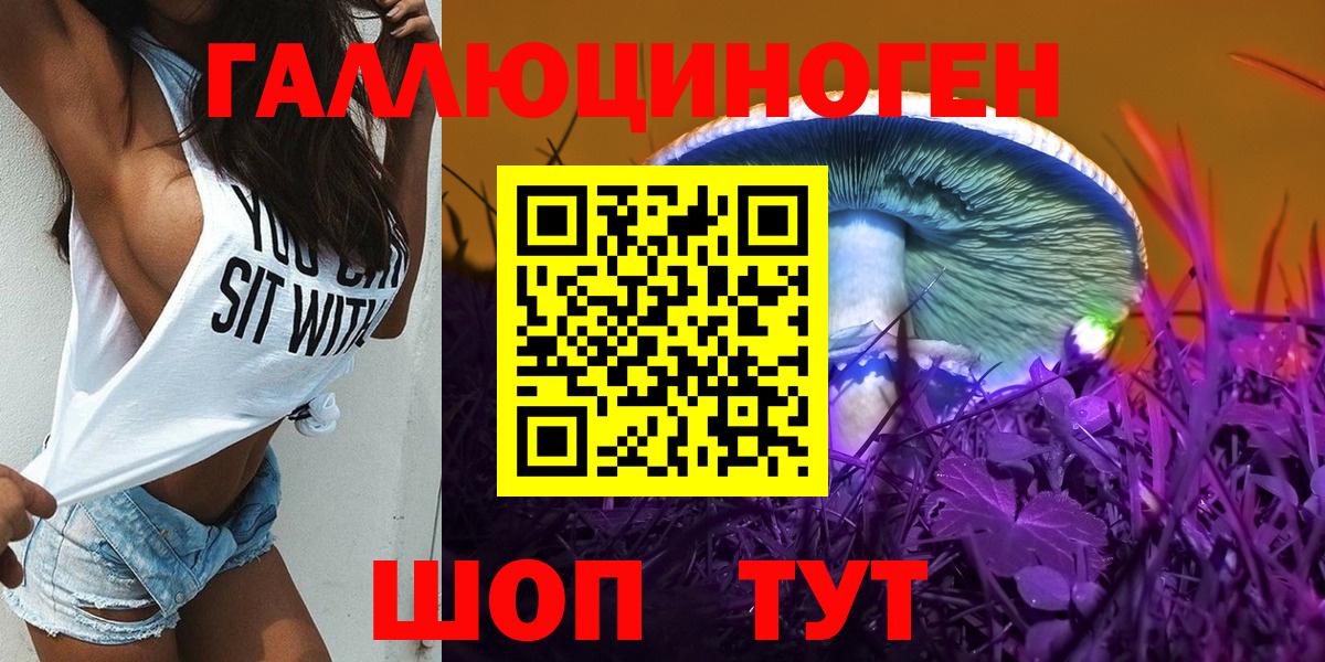 Курчатов  Галлюциногенные грибы ЛСД  Псилоцибиновые грибы Psilocybe  Вход с VPN 