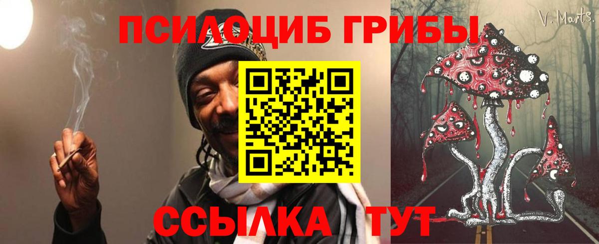 Галлюциногенные грибы мухоморы Курчатов