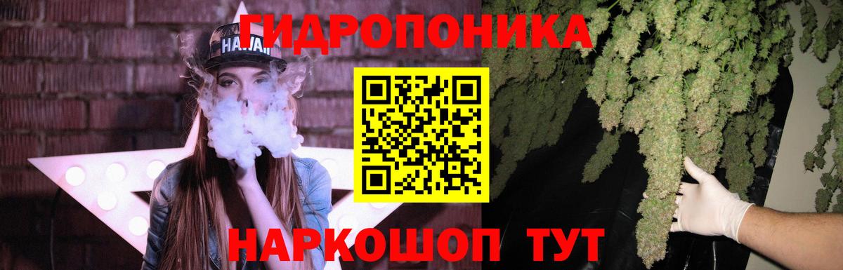 Курчатов  Бошки Шишки OG Kush  Вход с VPN  Марихуана семена  Конопля марихуана 